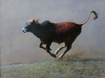 Stier Kuh Rinder Werke - das laufende Kalb